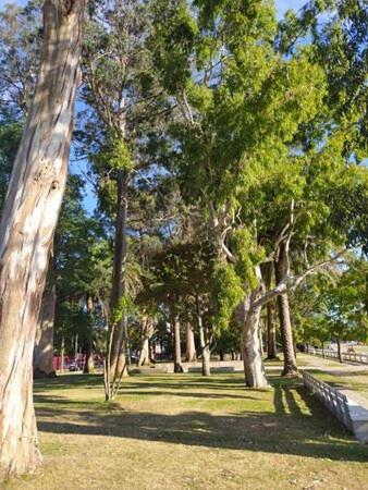 Apartamentos Mar De La Concha Pontevedra Kültér fotó